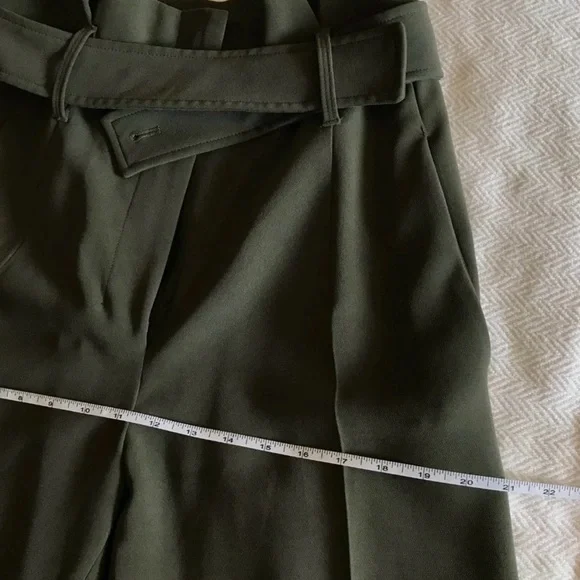 Aritzia Taupe High-Rise Belted Pants - Picture 9 of 12